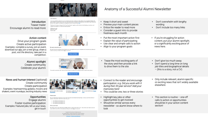 Newsletter-anatomy