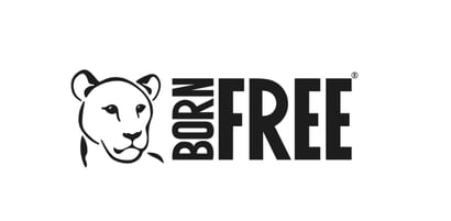 EnterpriseAlumni Announces The Born Free Foundation as Charity of the Year 