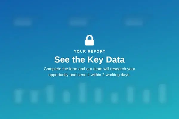 Report Preview